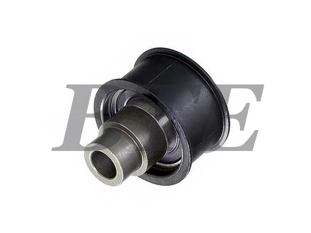 Idler Pulley:06 36 418